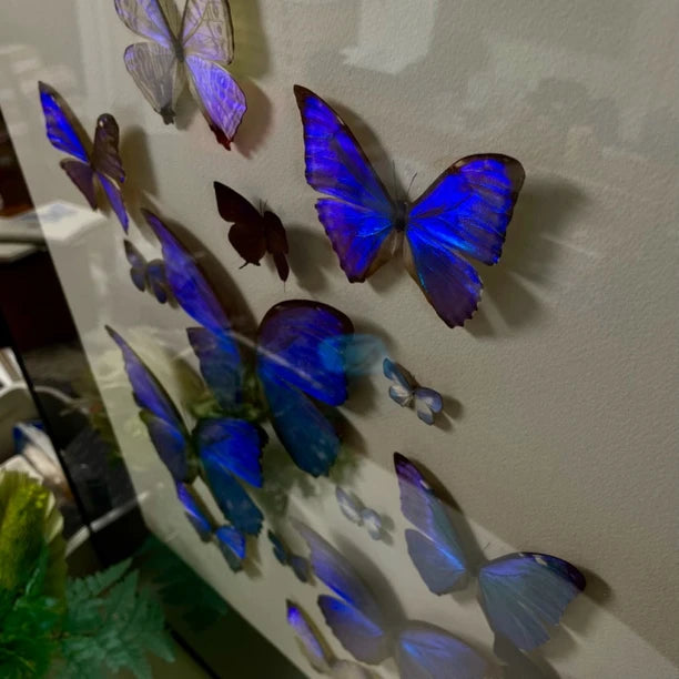 "Sparkling Light" Butterfly decorative art Imported Real Butterfly Entrance Sofa Background Wall decorative art Best Friend Anniversary Gift - image 5