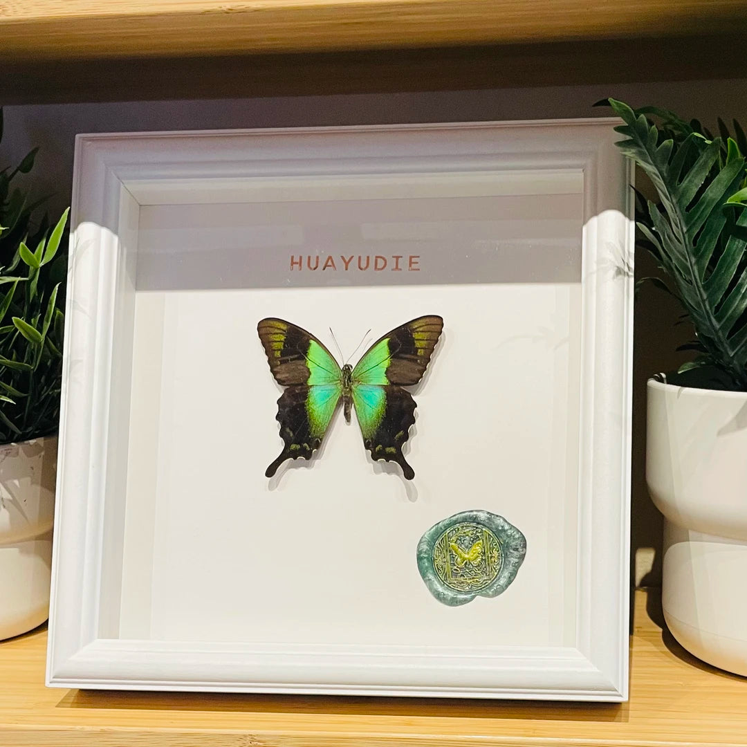 premium Papilion butterfly French light luxury ornaments glass butterfly ornaments photo frame living room decoration home square 8 inches - image 5