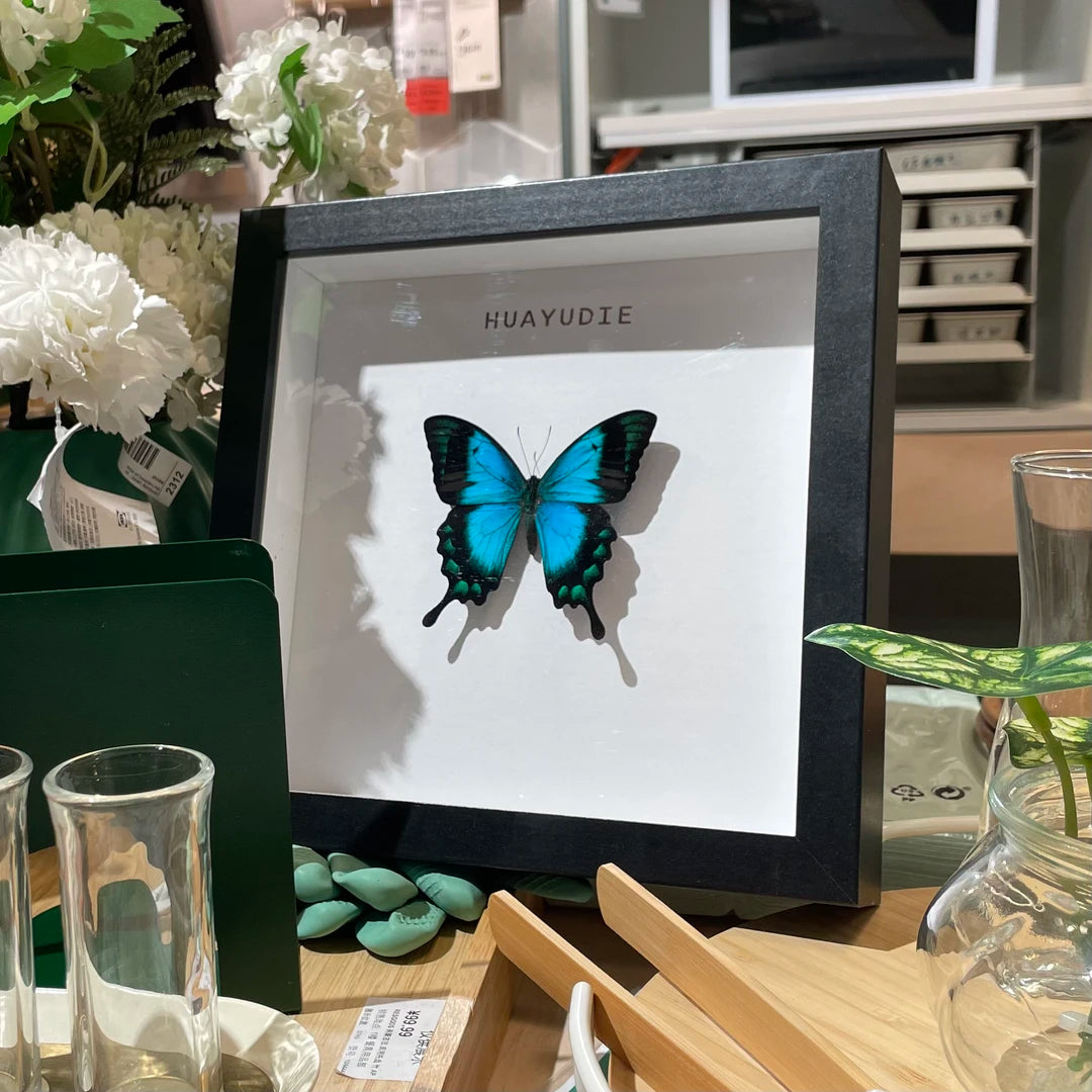 Light luxury decorative art customized black three-dimensional premium real butterfly specimen photo frame｜8-inch square butterfly photo frame - image 3