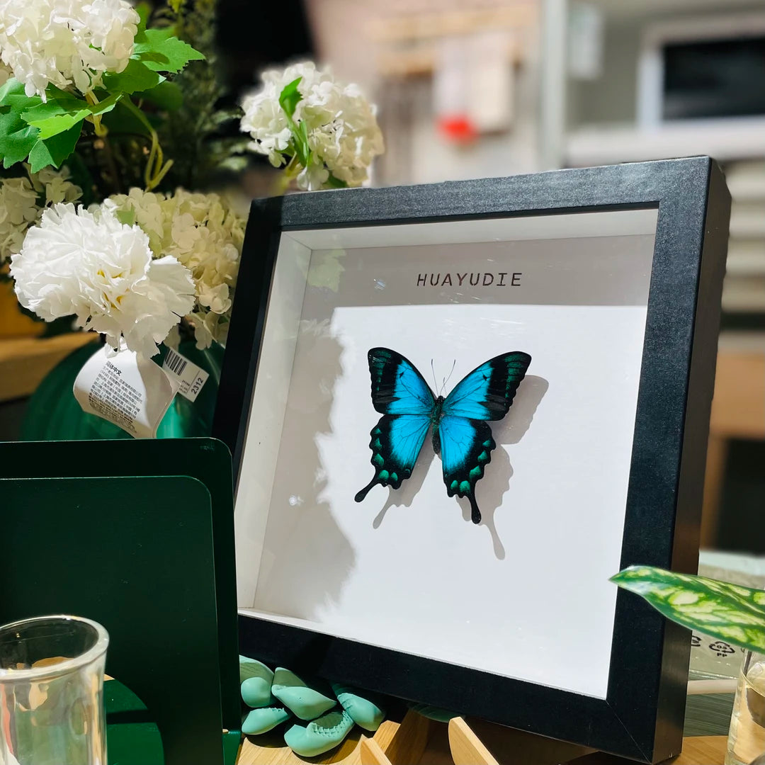 Light luxury decorative art customized black three-dimensional premium real butterfly specimen photo frame｜8-inch square butterfly photo frame - image 5