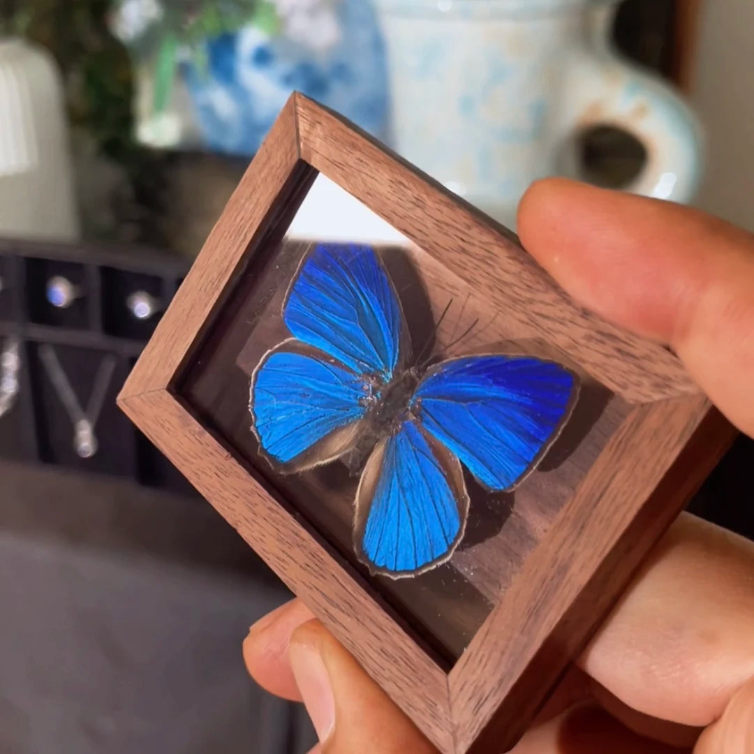 Azeluo gray butterfly MINI solid wood walnut pocket photo frame birthday gift girlfriend gift real butterfly specimen - image 5