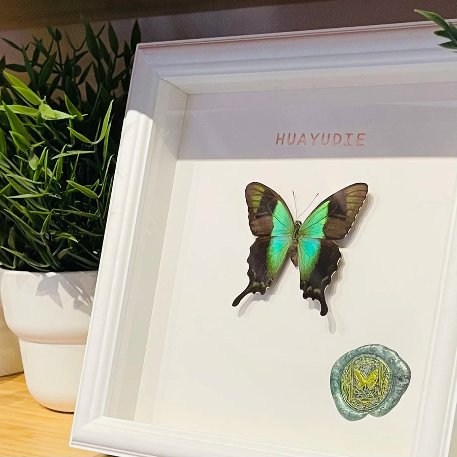 premium Papilion butterfly French light luxury ornaments glass butterfly ornaments photo frame living room decoration home square 8 inches