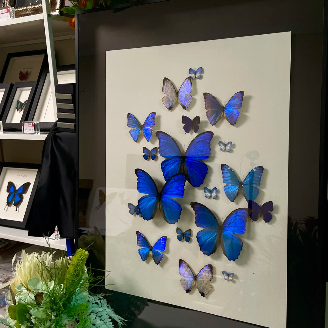 "Sparkling Light" Butterfly decorative art Imported Real Butterfly Entrance Sofa Background Wall decorative art Best Friend Anniversary Gift - image 2