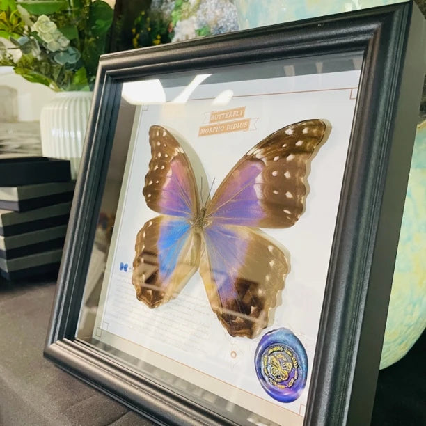 Glass boutique Nordic decorative butterfly photo frame painted blue friend creative gift living room premium ornament photo frame - image 4