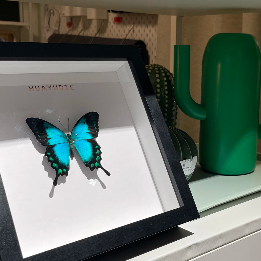 Light luxury decorative art customized black three-dimensional premium real butterfly specimen photo frame｜8-inch square butterfly photo frame - image 4