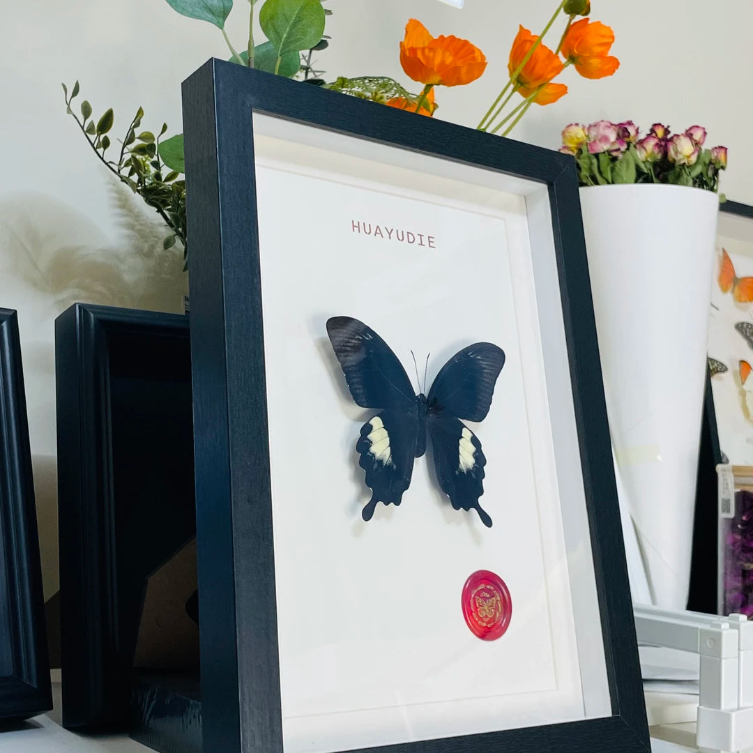 Living room gift three-dimensional creative butterfly photo frame ornaments retro light luxury vertical A4 photo frame butterfly decoration premium - image 3