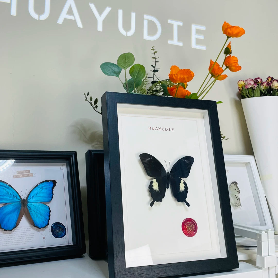 Living room gift three-dimensional creative butterfly photo frame ornaments retro light luxury vertical A4 photo frame butterfly decoration premium - image 5