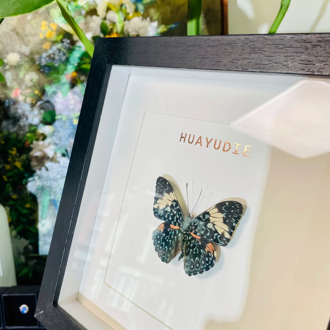 Toad butterfly real butterfly specimen birthday gift creative gift girlfriend gift home good things butterfly photo frame - image 3