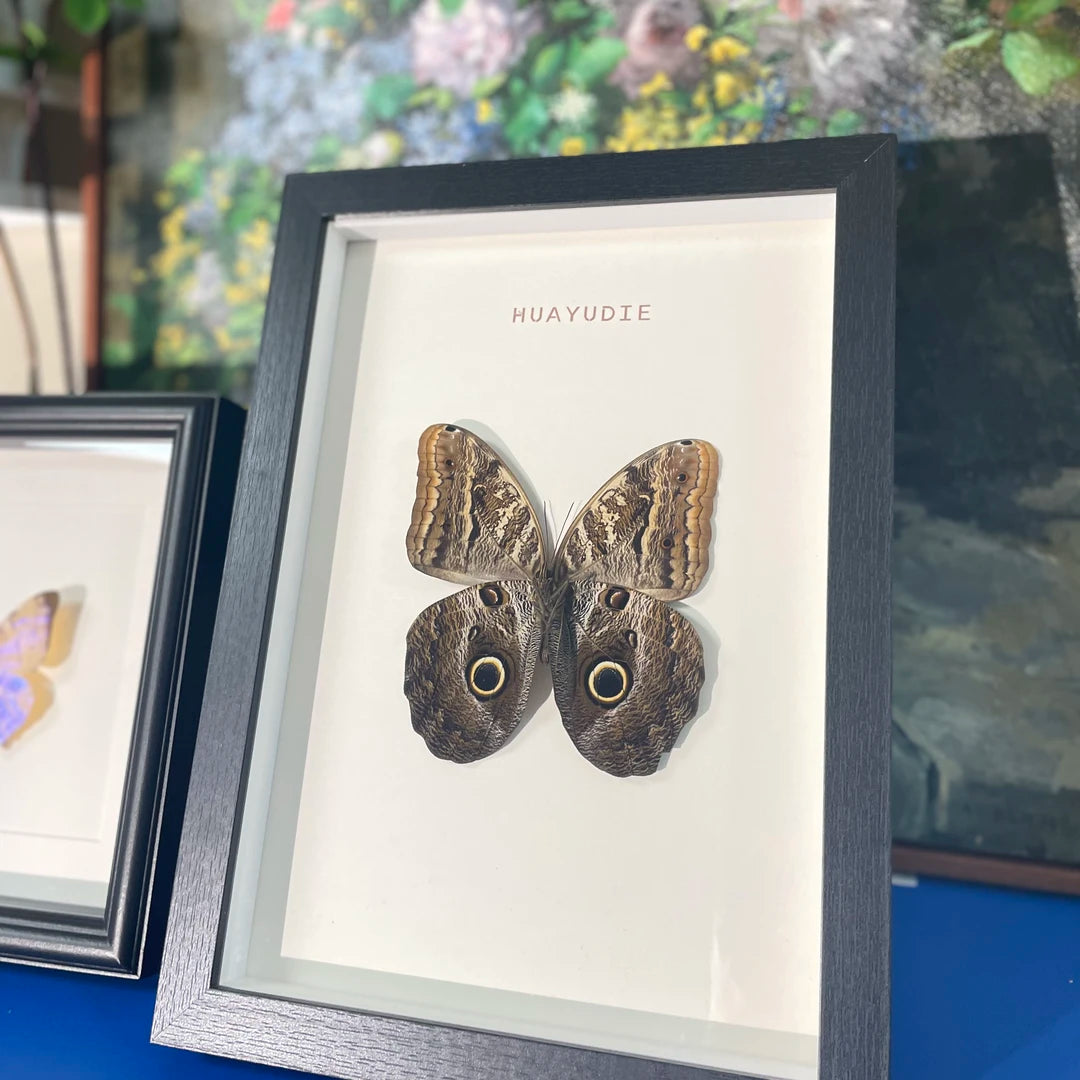 Blue ring butterfly home decoration butterfly ornament creative gift A1 framed butterfly specimen | A4 Nordic decorative art - image 5
