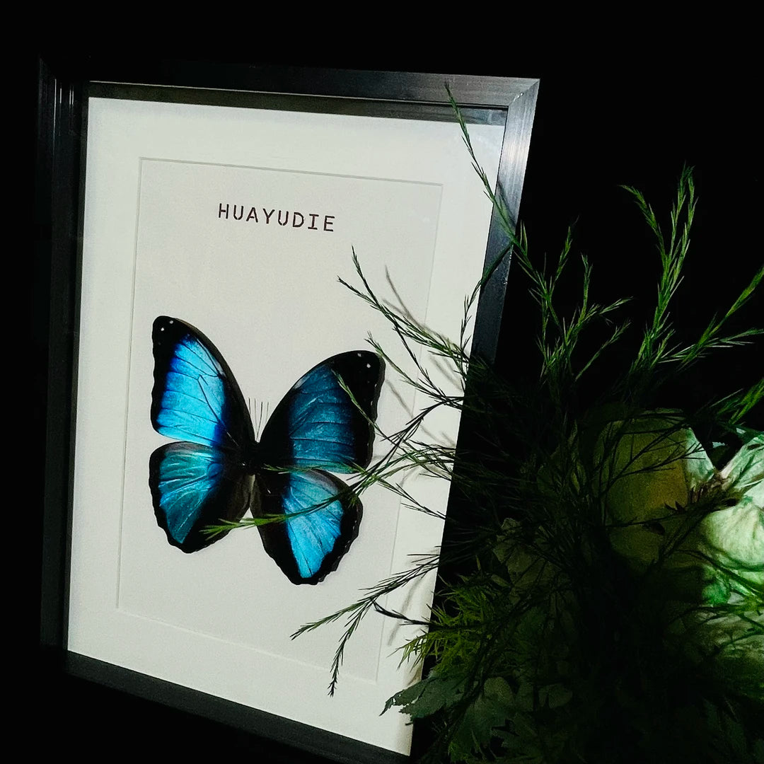 premium light luxury decorative art, living room decoration, atmospheric butterfly wall art, Nordic creative gift, home glass photo frame - image 3