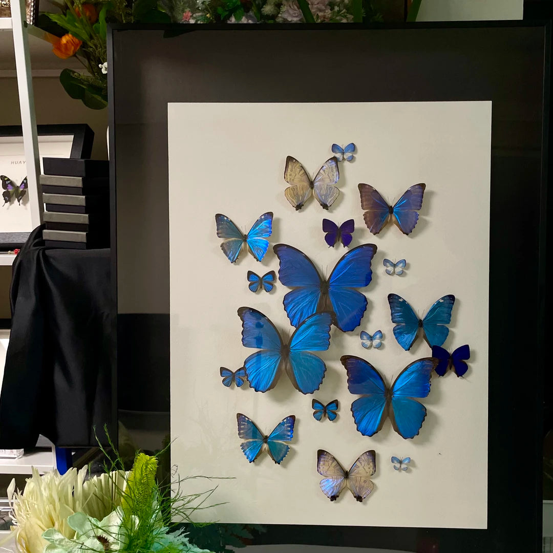 "Sparkling Light" Butterfly decorative art Imported Real Butterfly Entrance Sofa Background Wall decorative art Best Friend Anniversary Gift - image 1