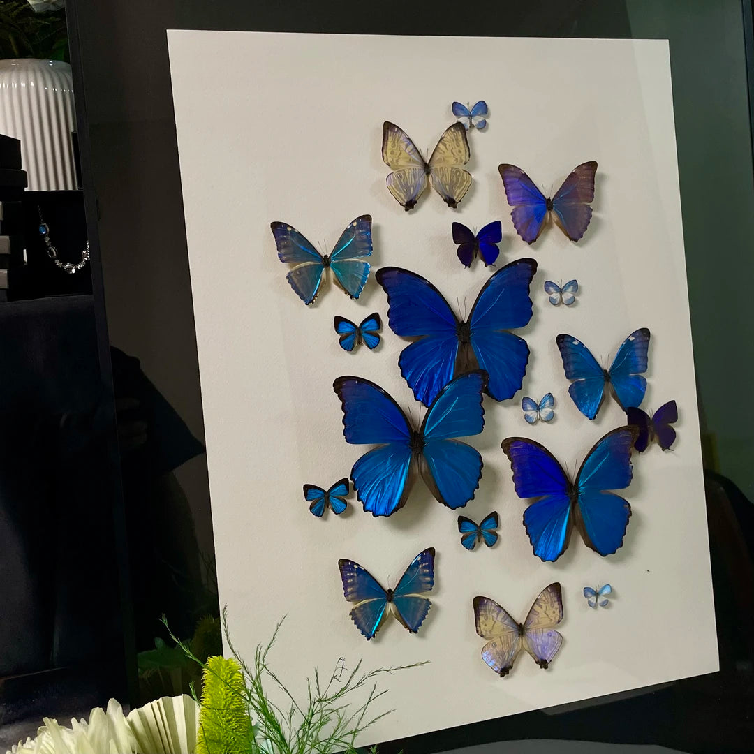 "Sparkling Light" Butterfly decorative art Imported Real Butterfly Entrance Sofa Background Wall decorative art Best Friend Anniversary Gift - image 3