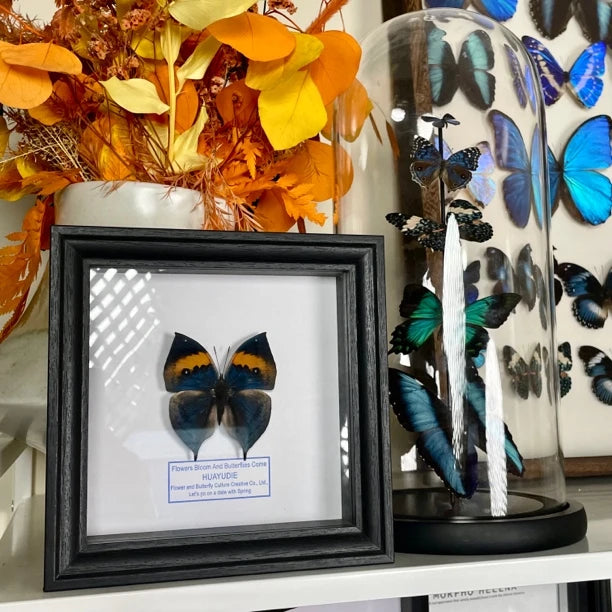 Dead Leaf Butterfly Photo Frame Real Butterfly Specimen Creative Gift Valentine's Day Creative Gift for Girlfriend Birthday Gift - image 4