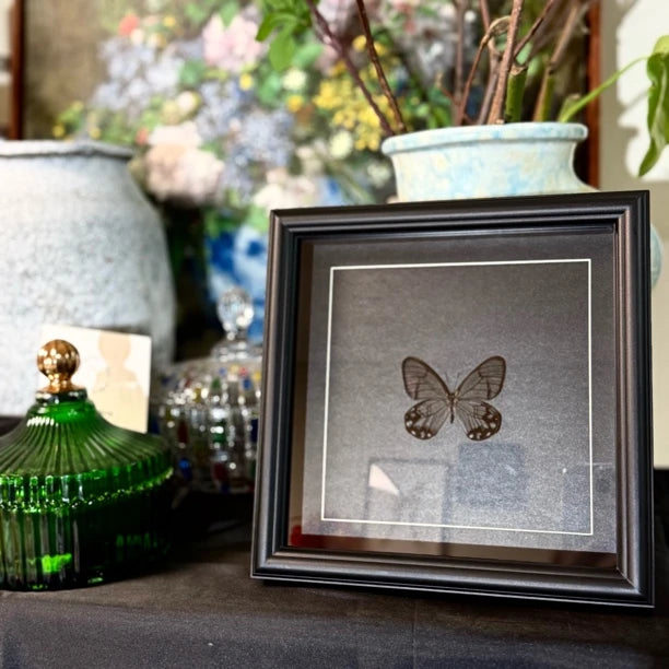 Photo frame of pseudomorphic butterfly specimen for couple, Valentine’s Day gift for girlfriend and best friend, creative butterfly specimen for home goodies - image 5