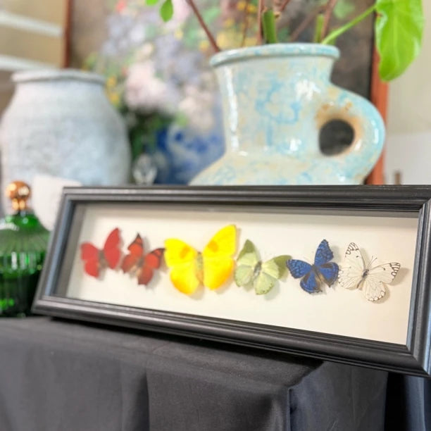 "Six Colors of Mood" Real Butterfly Photo Frame Couple Gifts for Valentine's Day Creative Gifts for Girlfriends and Best Home Goods - image 5
