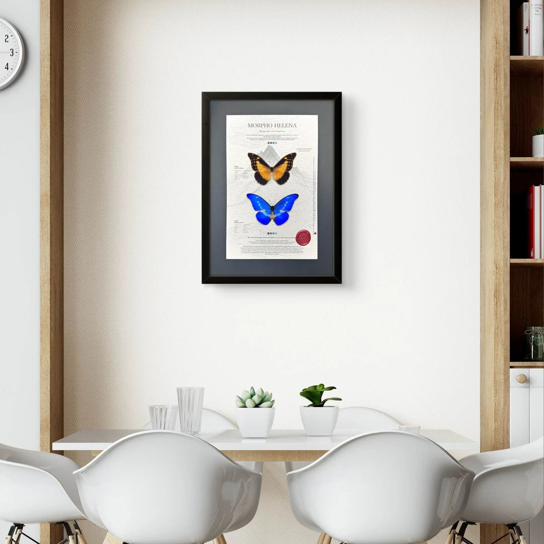 FLORAFLY "Goddess of Light" luxury-style butterfly assemblage vertical wood frame real butterfly specimen frame decorative art gift - image 2