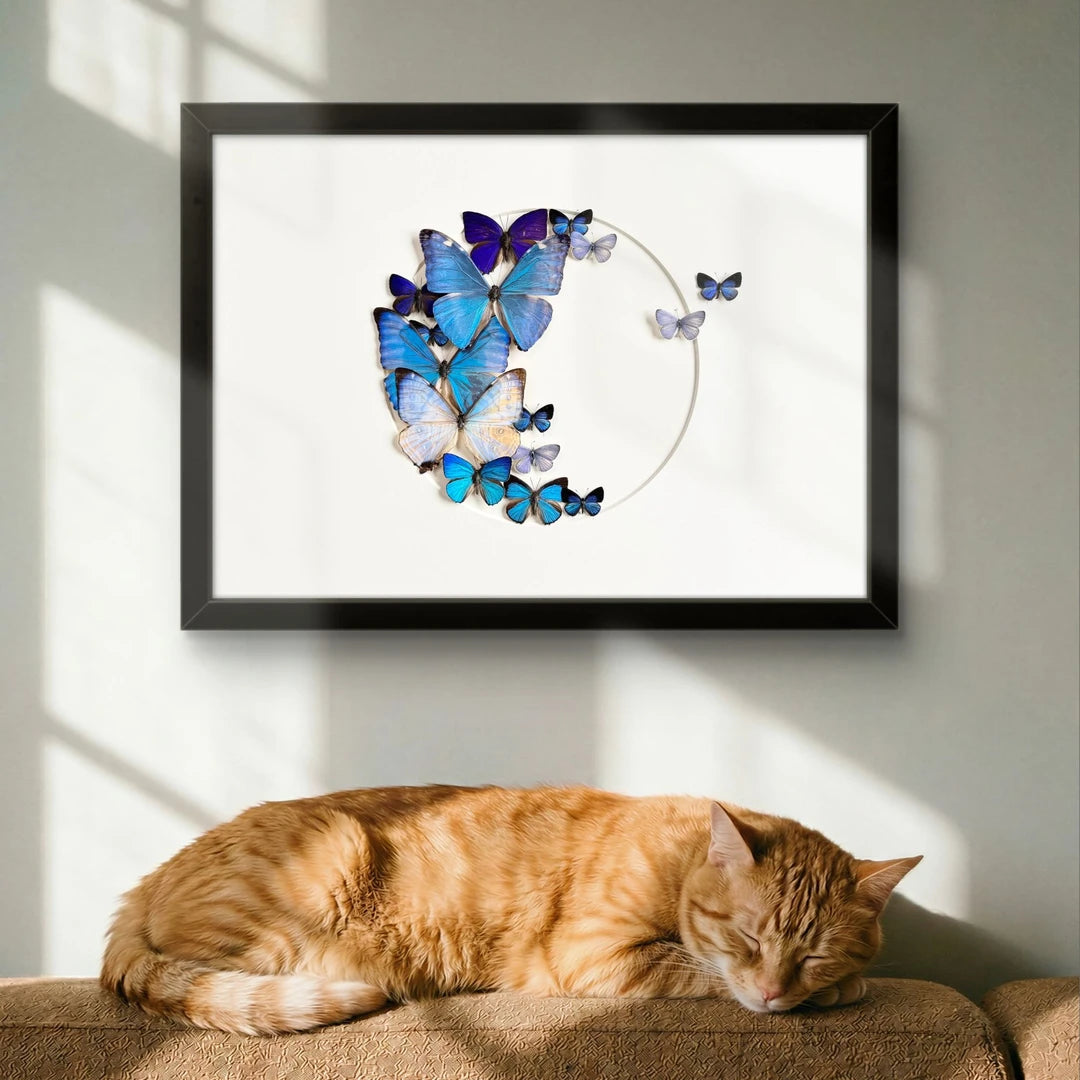 FLORAFLY "Sea Floating Night Moon" Real Butterfly decorative art Imported Real Butterfly Sofa Background Wall decorative art Gift - image 2