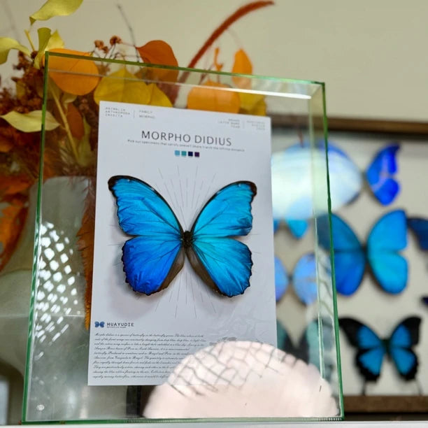 Decorative picture frame - light luxury hanging picture, premium atmospheric glass butterfly living room accessories, premium gift for girlfriend