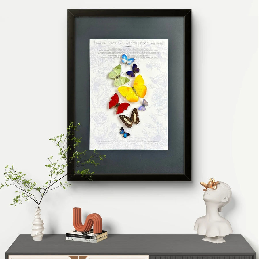 FLORAFLY "Rainbow" luxury-style butterfly assemblage vertical wood frame real butterfly specimen frame decorative art gift