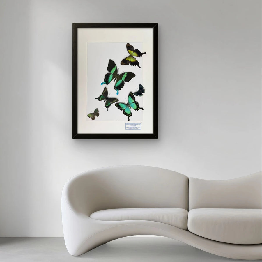 FLORAFLY "The Wizard of Oz" luxury-style butterfly assemblage vertical wood frame real butterfly specimen frame decorative art gift