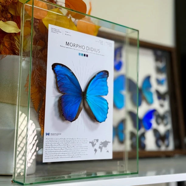 Decorative picture frame - light luxury hanging picture, premium atmospheric glass butterfly living room accessories, premium gift for girlfriend - image 2