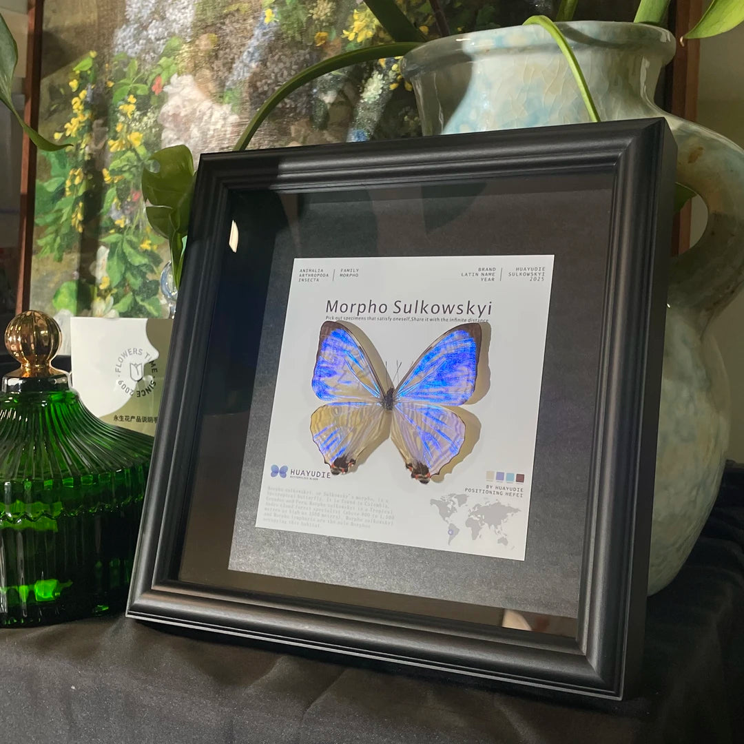 Luminous Pearl Light Luxury Customized decorative art Gifts premium Decoration wall art Gifts premium Butterfly Glass Photo Frame Ornaments - image 4