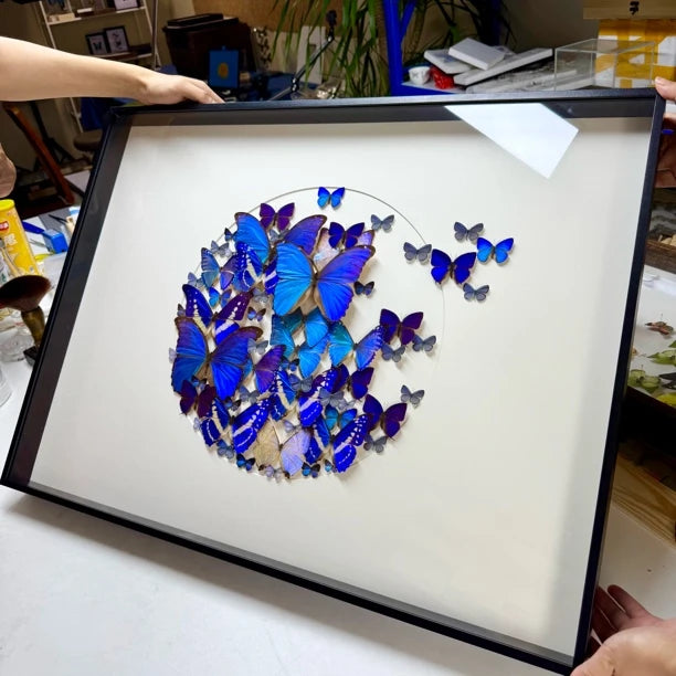 FLORAFLY "Take Off" World Famous Butterflies Real butterfly assemblage Living Room Sofa wall art B&B Background Creative Gift - image 2