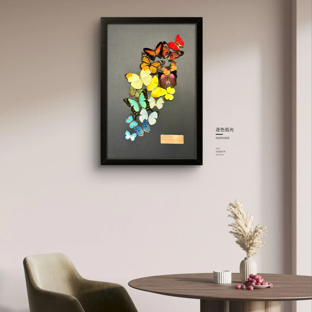 FLORAFLY "Arc of Color" luxury-style butterfly assemblage vertical wood frame real butterfly specimen frame decorative art Gift - image 3
