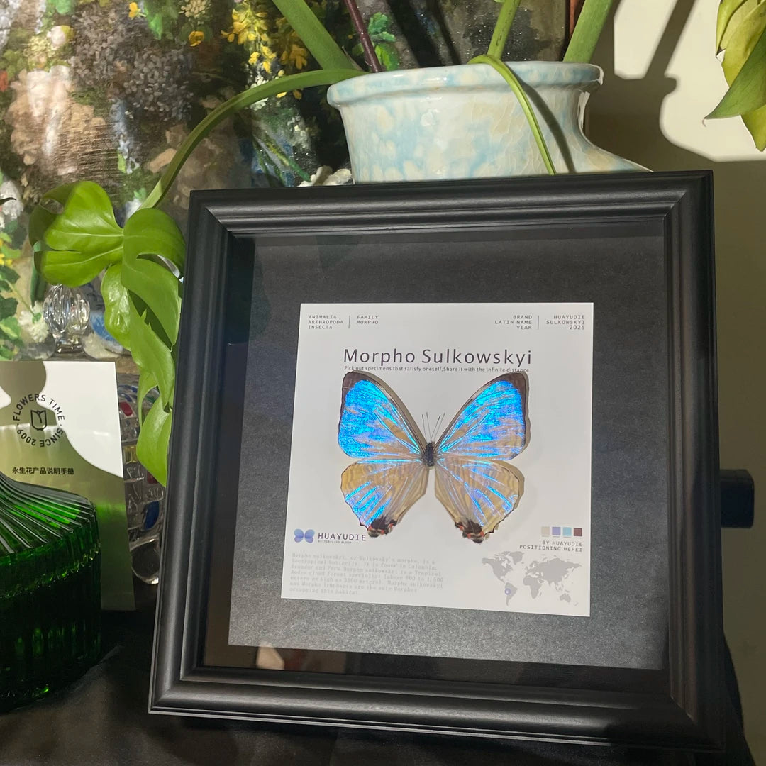 Luminous Pearl Light Luxury Customized decorative art Gifts premium Decoration wall art Gifts premium Butterfly Glass Photo Frame Ornaments - image 1