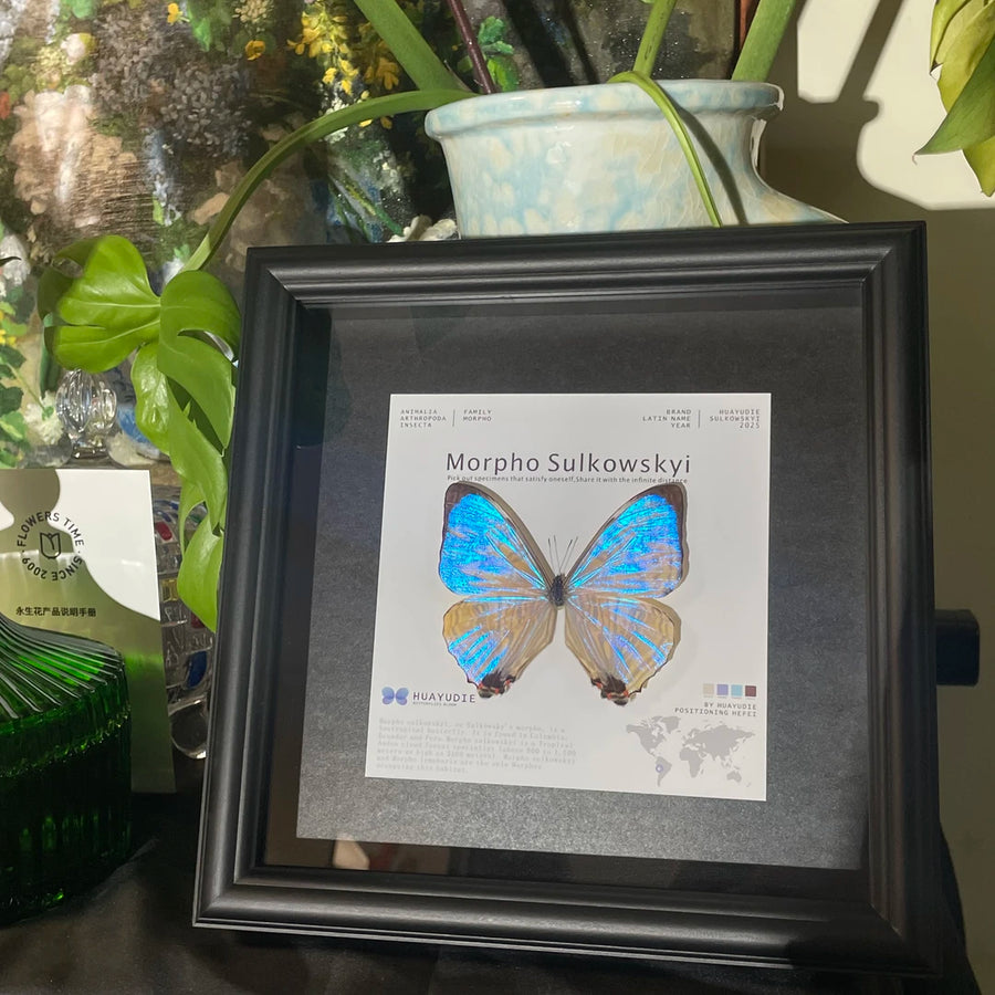 Luminous Pearl Light Luxury Customized decorative art Gifts premium Decoration wall art Gifts premium Butterfly Glass Photo Frame Ornaments