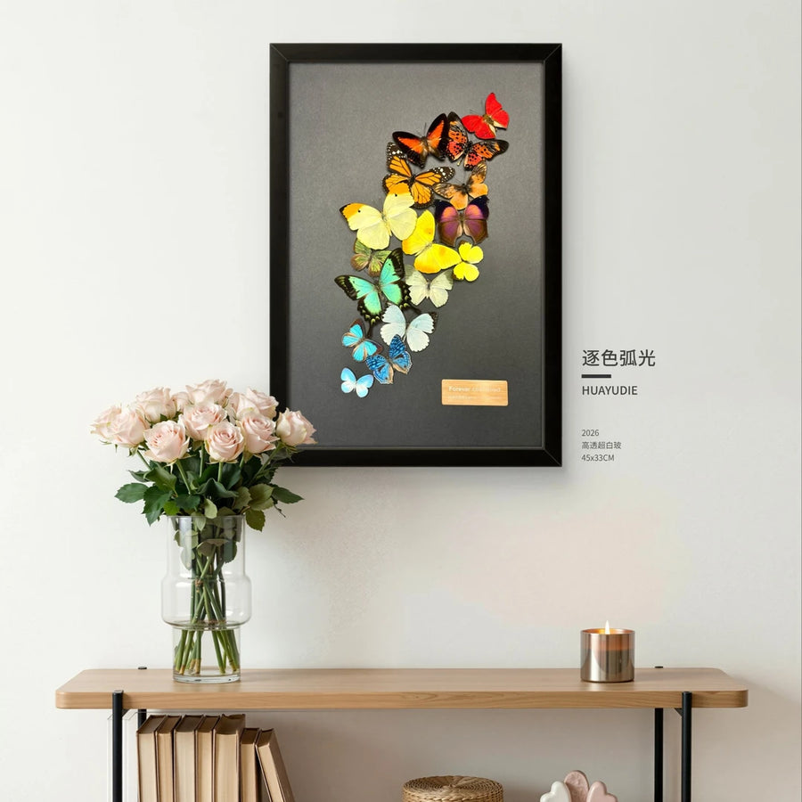 FLORAFLY "Arc of Color" luxury-style butterfly assemblage vertical wood frame real butterfly specimen frame decorative art Gift