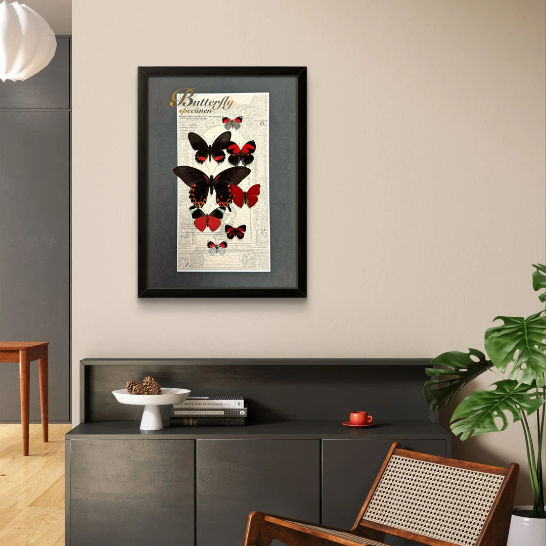 FLORAFLY "Lucky" Italian-style retro butterfly wall art vertical wood frame real butterfly specimen frame decorative art specimen gift - image 3