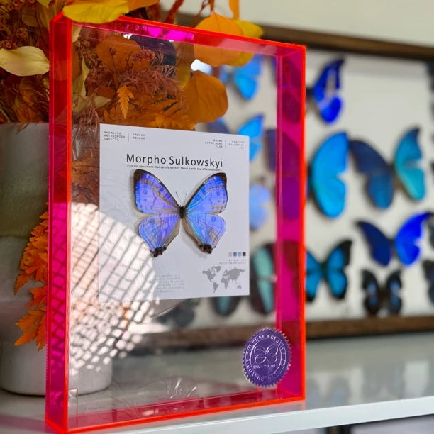 butterfly wall art - premium atmospheric decoration blue butterfly Nordic style gift decorative art light luxury gift giving - image 2