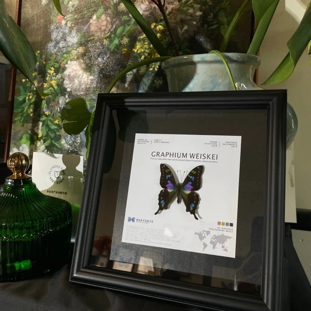 Rose Green Phoenix Butterfly Specimen Real Butterfly Birthday Girlfriend Best Friend Creative Gift Home Goods Fashion Specimen - image 2
