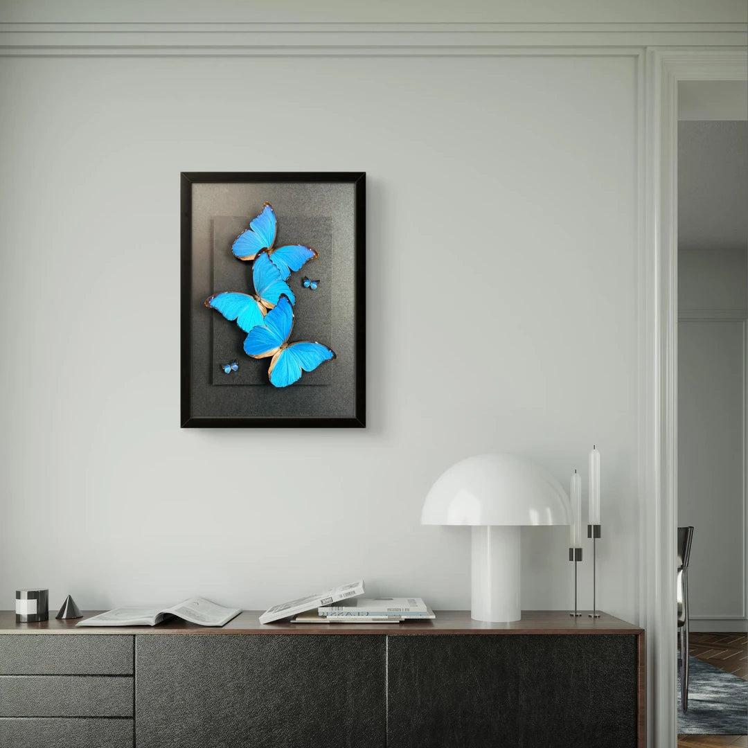 FLORAFLY "Blue Flash Trio" real butterfly decorative art living room shop hanging creative gift big blue morpho butterfly - image 4