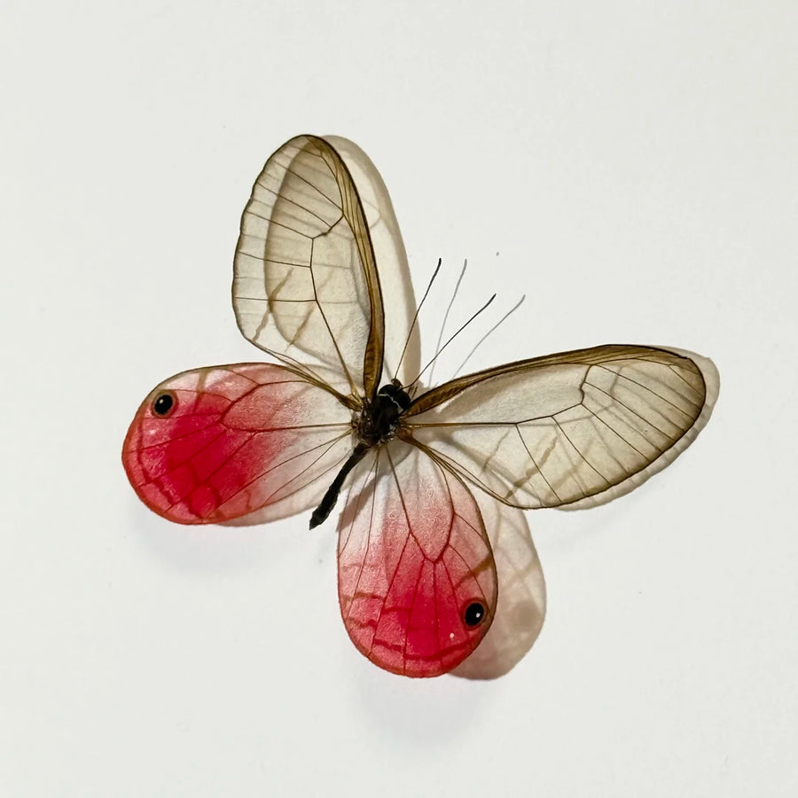 Red Nordic butterfly handmade decorative art photo frame couple gift for besties creative gift home decoration