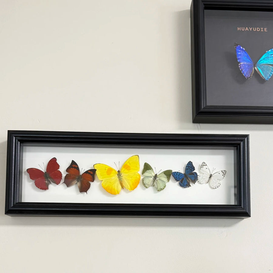 "Six Colors of Mood" Real Butterfly Photo Frame Couple Gifts for Valentine's Day Creative Gifts for Girlfriends and Best Home Goods