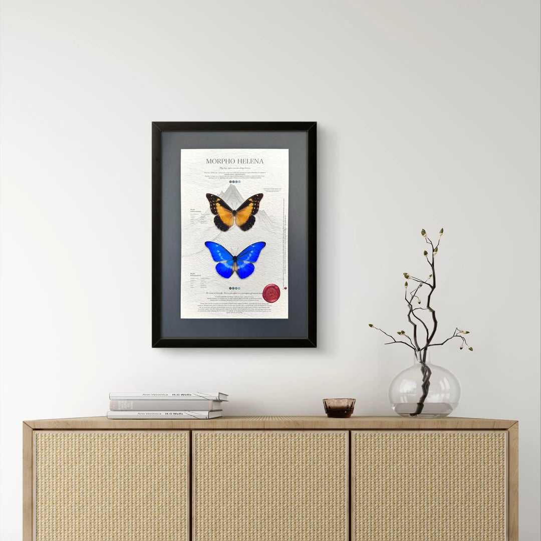 FLORAFLY "Goddess of Light" luxury-style butterfly assemblage vertical wood frame real butterfly specimen frame decorative art gift - image 1