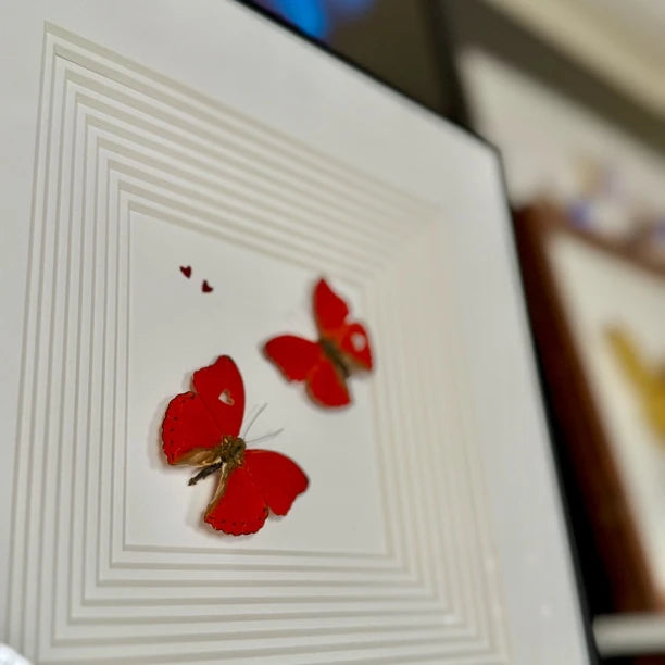 Blood-rippled butterflies flying together, butterfly specimens as birthday gifts for girlfriends and besties, butterfly photo frames for home use - image 2