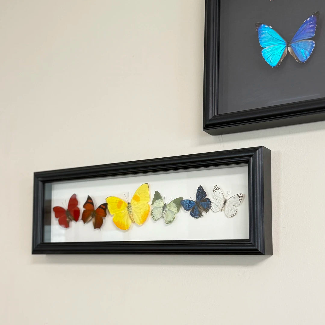 "Six Colors of Mood" Real Butterfly Photo Frame Couple Gifts for Valentine's Day Creative Gifts for Girlfriends and Best Home Goods - image 4