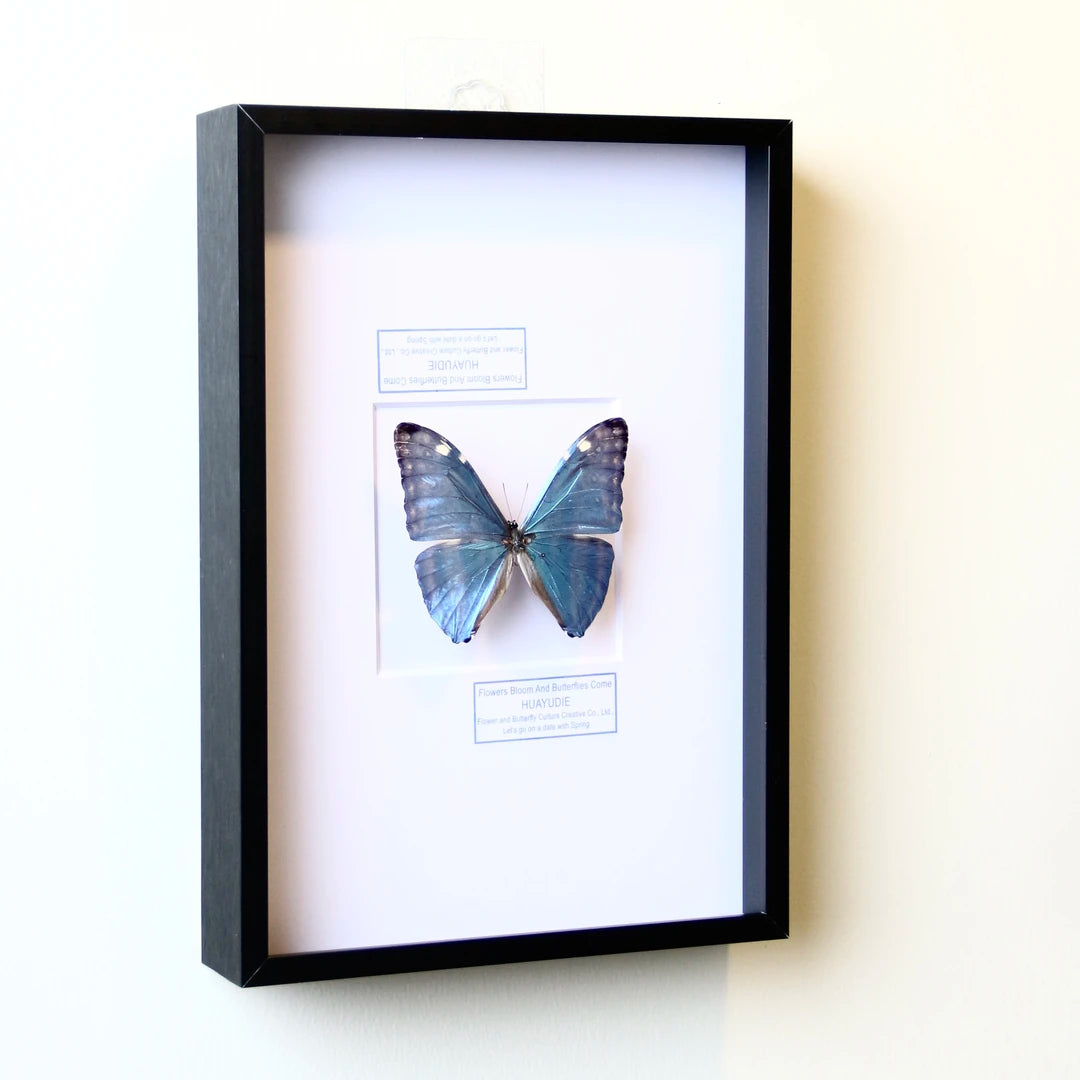 Antonis decorative art, premium light luxury wall art, creative and atmospheric ornaments for living room, three-dimensional European style premium photo frame - image 2