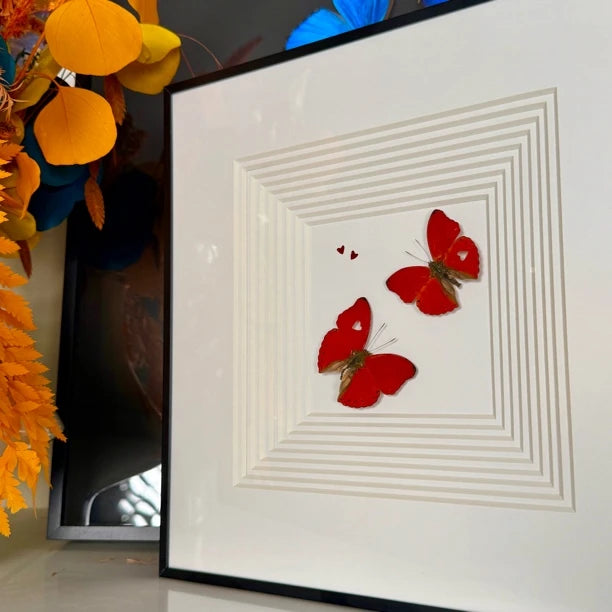 Blood-rippled butterflies flying together, butterfly specimens as birthday gifts for girlfriends and besties, butterfly photo frames for home use