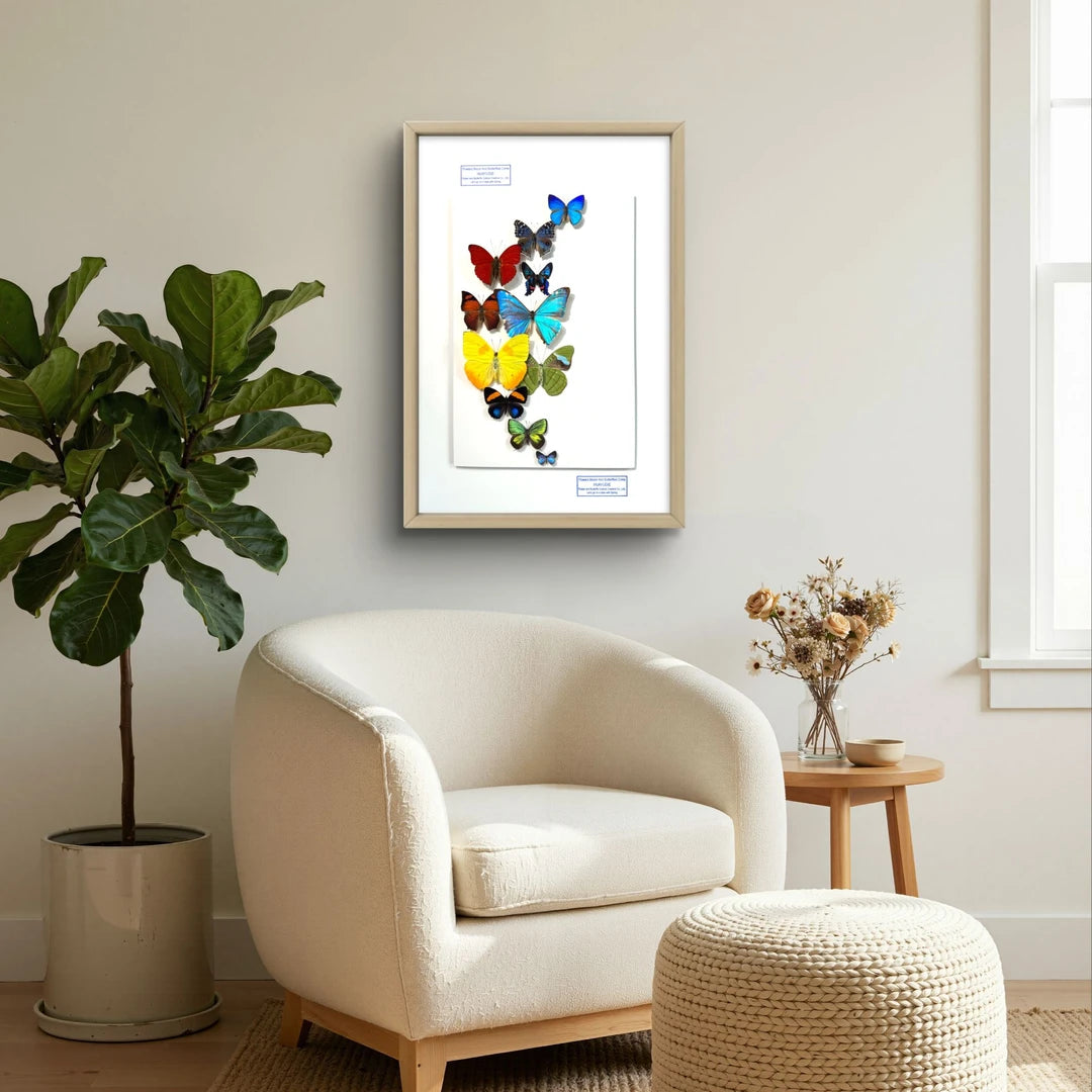 FLORAFLY "Flower Moon" Nordic style butterfly wall art vertical wood frame real butterfly specimen frame decorative art specimen gift - image 4