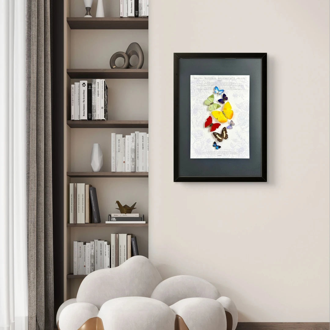 FLORAFLY "Rainbow" luxury-style butterfly assemblage vertical wood frame real butterfly specimen frame decorative art gift - image 5