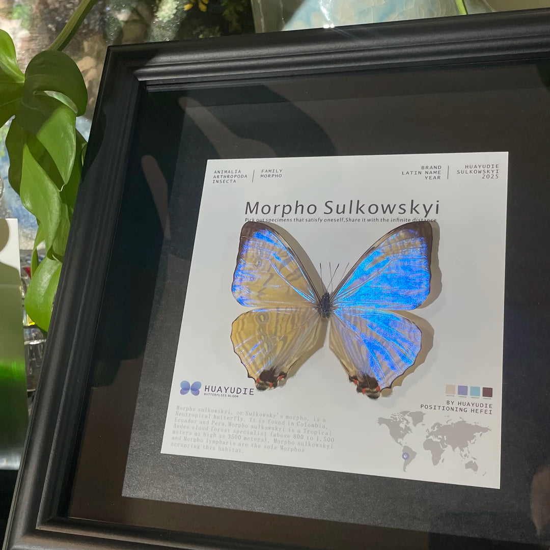 Luminous Pearl Light Luxury Customized decorative art Gifts premium Decoration wall art Gifts premium Butterfly Glass Photo Frame Ornaments - image 2