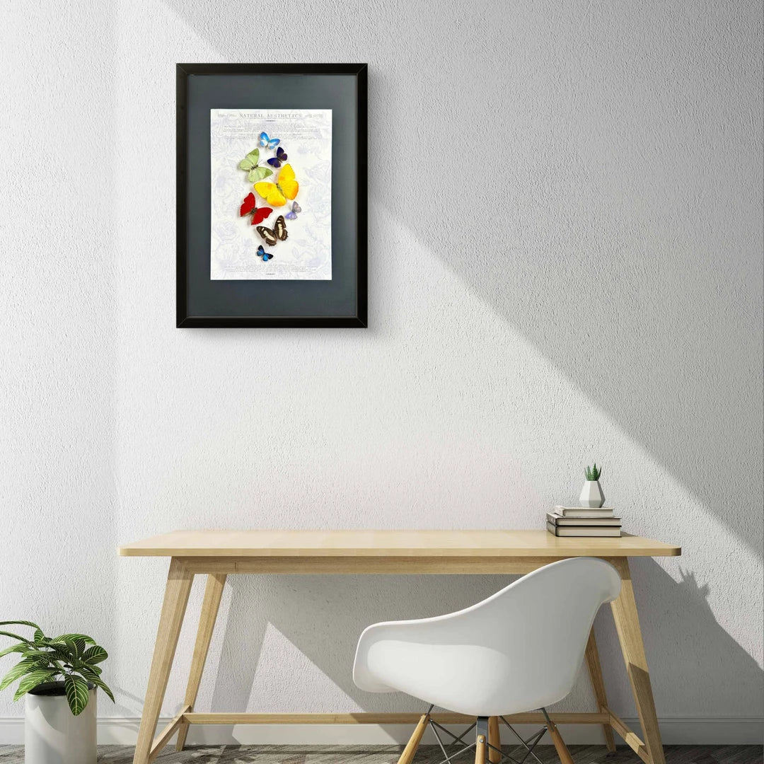 FLORAFLY "Rainbow" luxury-style butterfly assemblage vertical wood frame real butterfly specimen frame decorative art gift - image 4