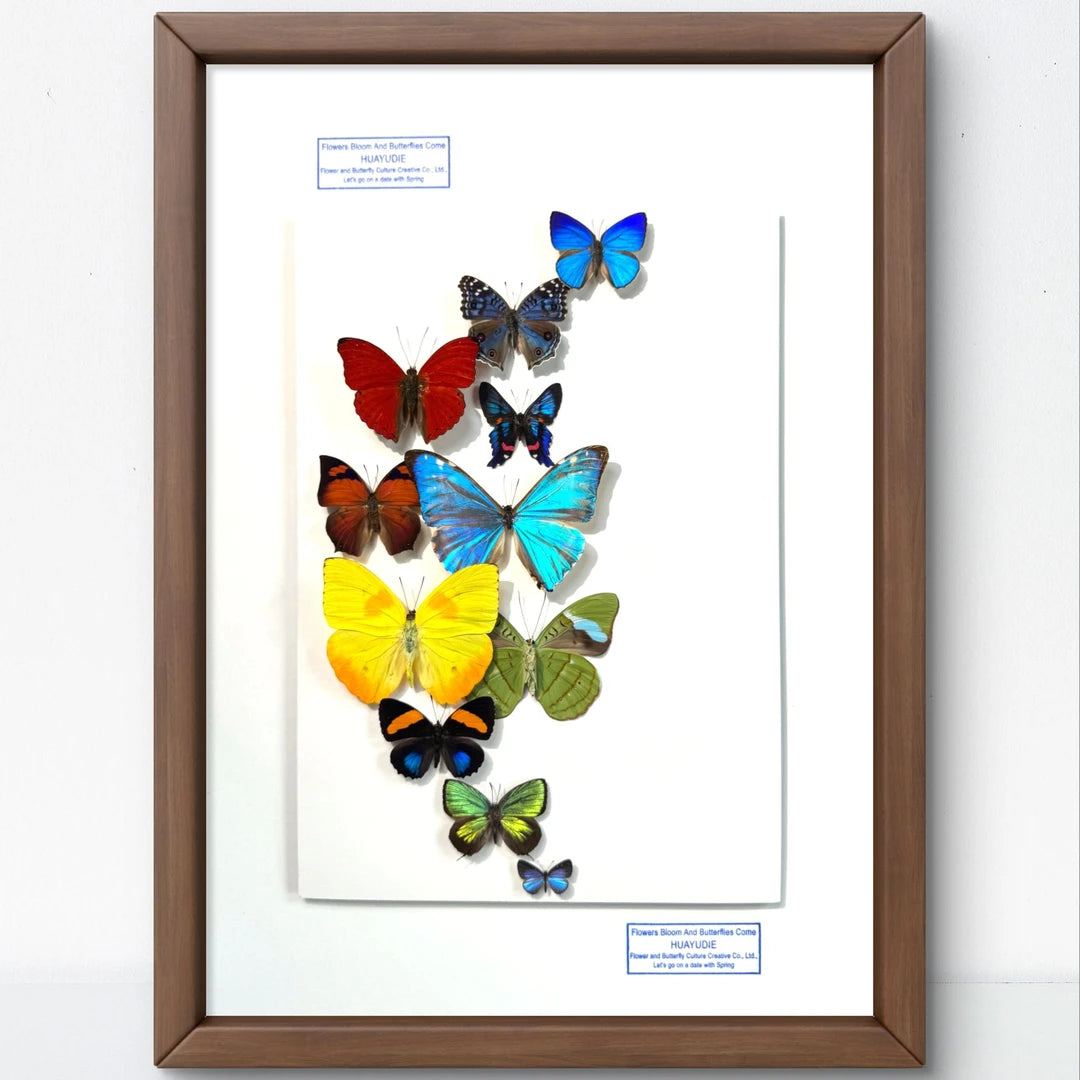 FLORAFLY "Flower Moon" Nordic style butterfly wall art vertical wood frame real butterfly specimen frame decorative art specimen gift - image 5