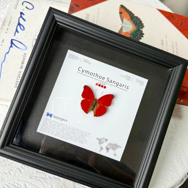 Blood ripple butterfly specimen real butterfly birthday gift for girlfriend and best friend creative gift home butterfly square 8-inch photo frame - image 2