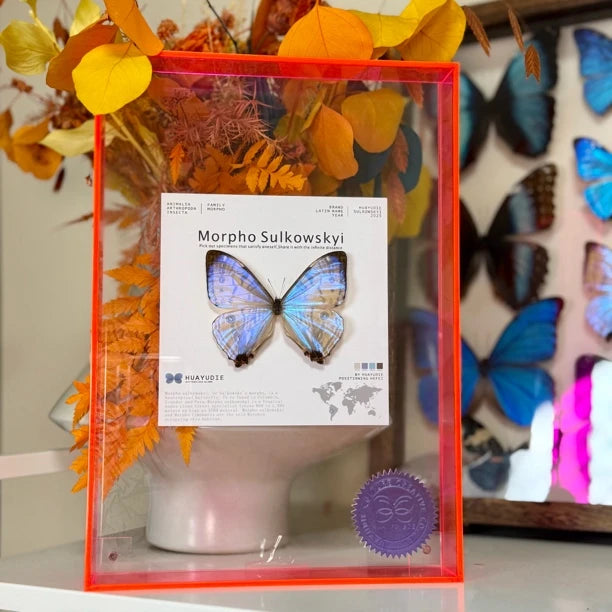 butterfly wall art - premium atmospheric decoration blue butterfly Nordic style gift decorative art light luxury gift giving