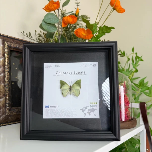 decorative art ornaments, real butterfly specimens, atmospheric gifts, Valentine's Day creative gifts for girlfriends, gifts for besties - image 2